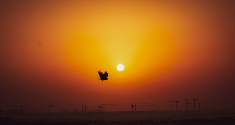 Luan Fonseca auf Unsplash