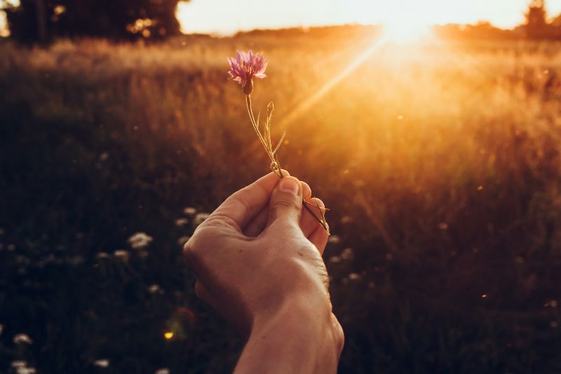 Getty Images auf Unsplash