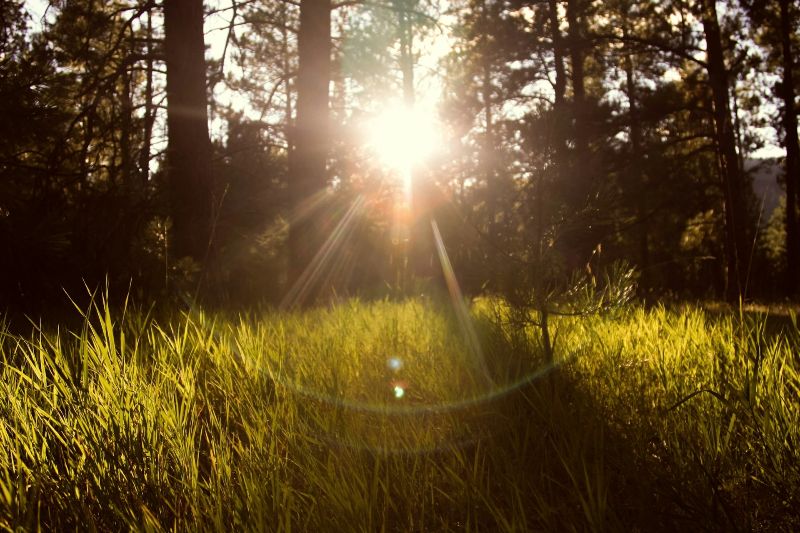 Micah Hallahan auf Unsplash