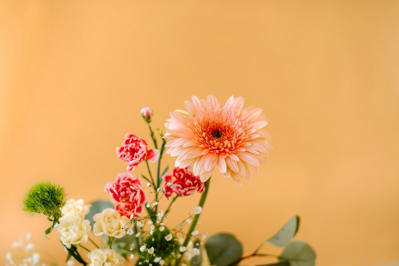 Kateryna Hliznitsova auf Unsplash