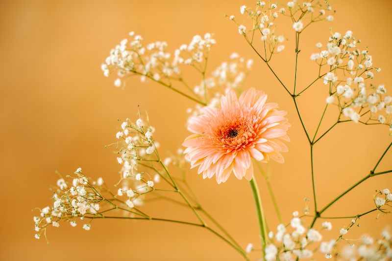 Kateryna Hliznitsova auf Unsplash