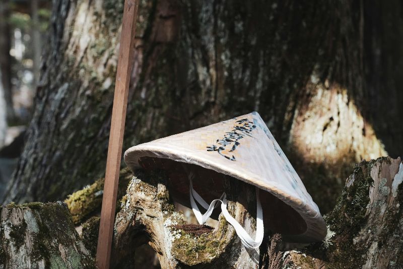 HAKU namatata auf Unsplash