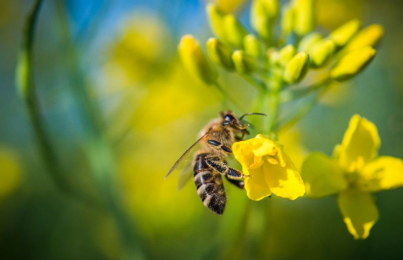 Getty Images auf Unsplash