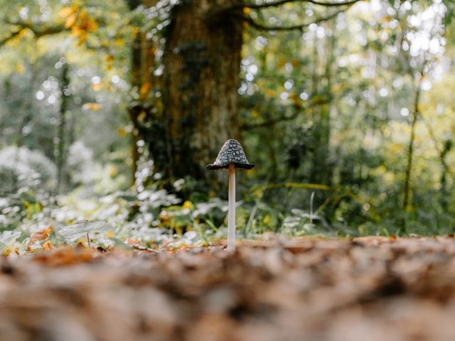 Annie Spratt auf Unsplash