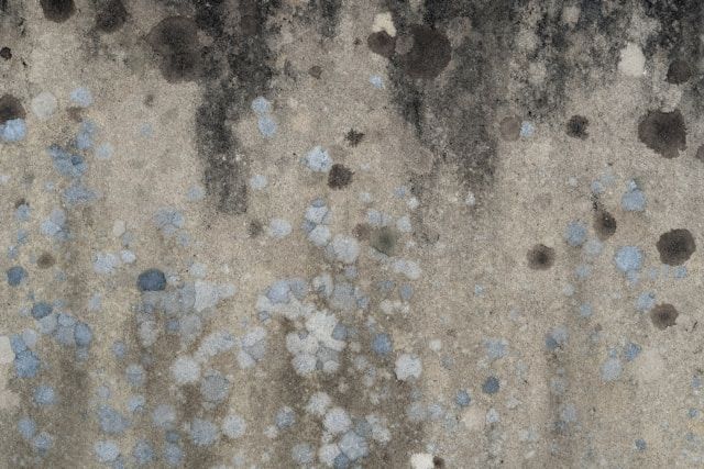 Andrew Small auf Unsplash